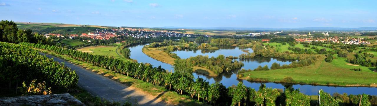 Aparthotel Alte Schmiede Dettelbach Esterno foto